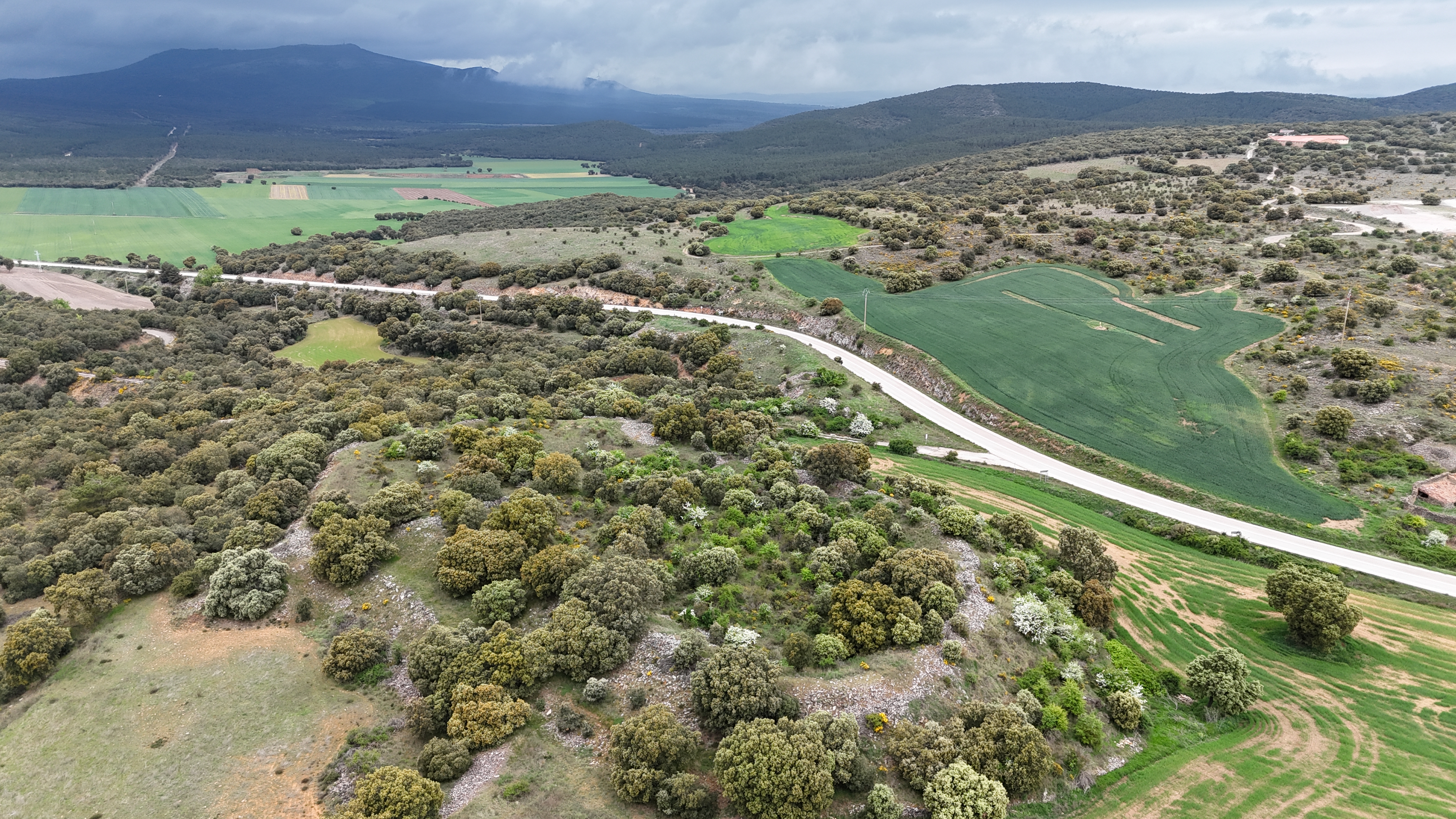 Castro de la Muela del Mesado