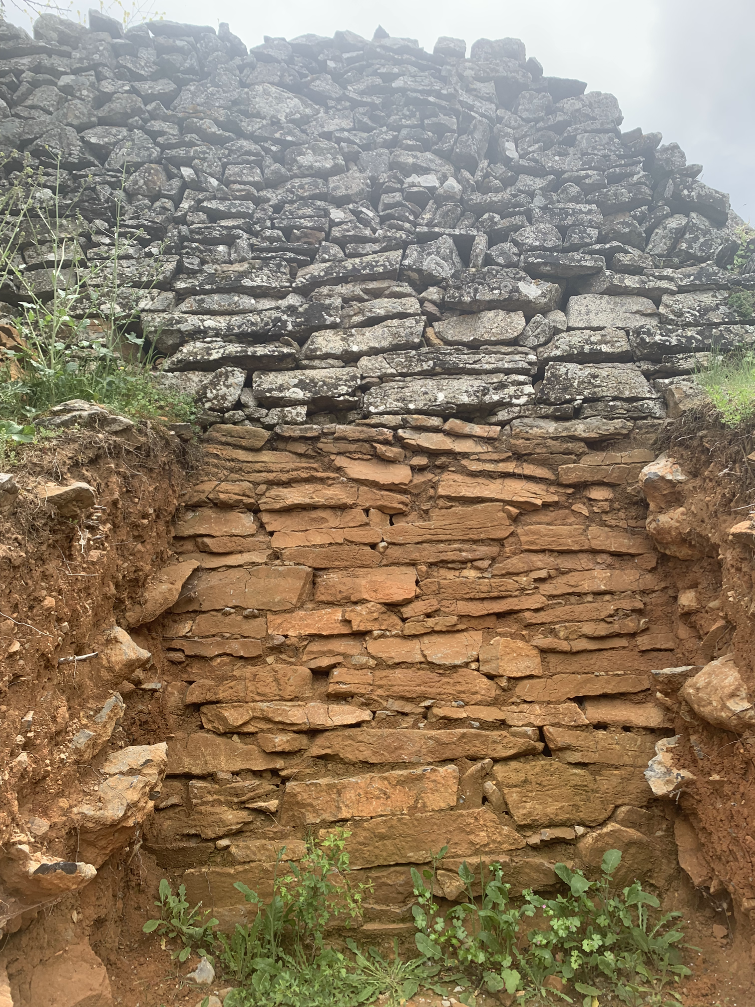 Castro de la Muela del Mesado (1 de 4)