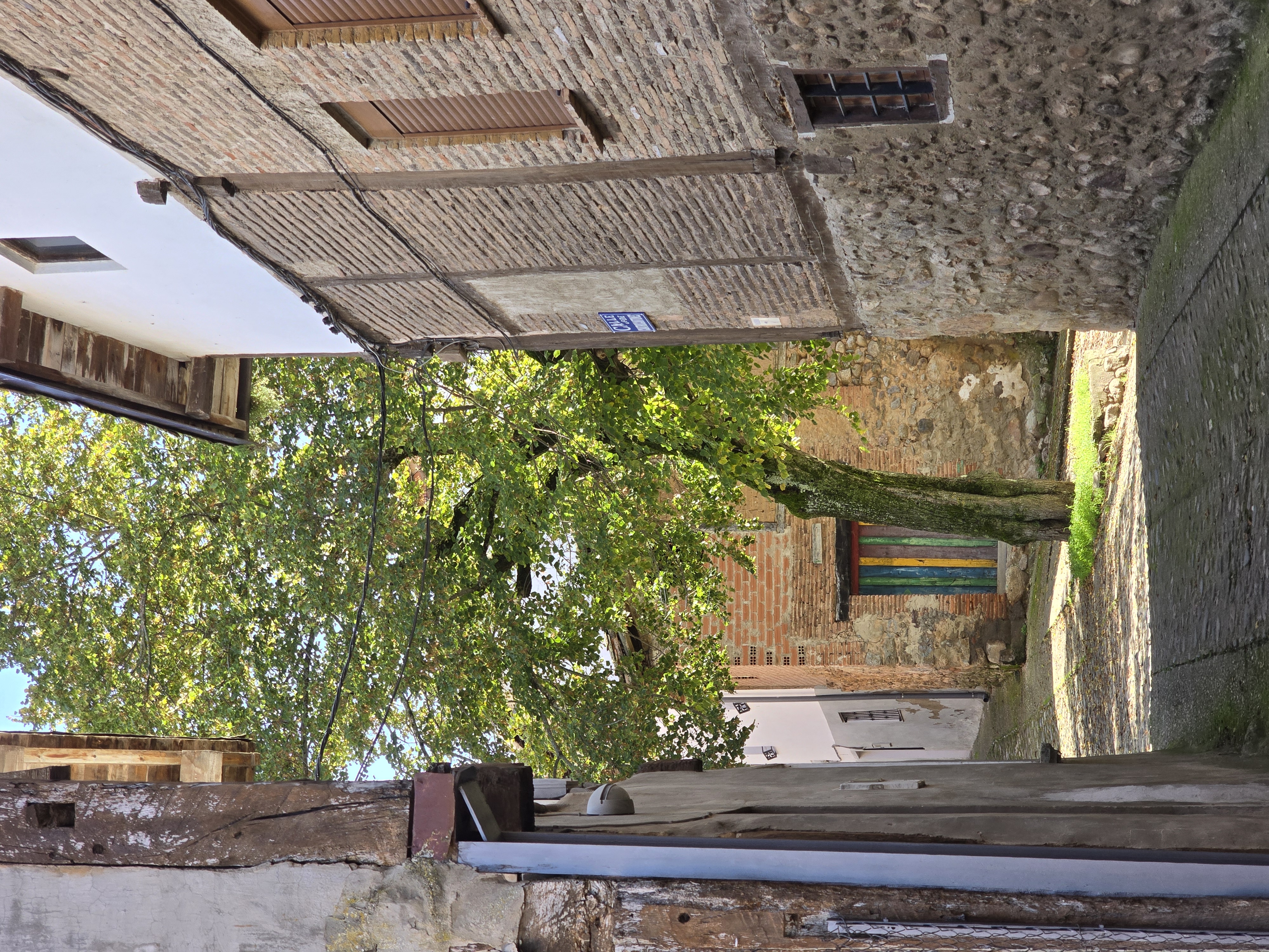 Plazuela del Tilo