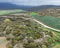 Castro de la Muela del Mesado