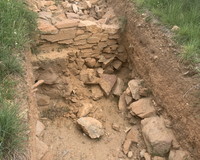 Castro de la Muela del Mesado (2 de 4)