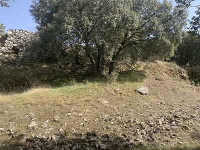 Castro de la Muela del Mesado (3 de 4)
