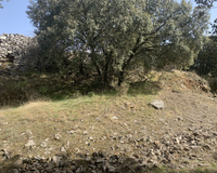 Castro de la Muela del Mesado (3 de 4)