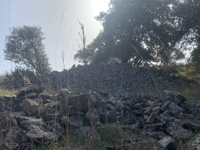 Castro de la Muela del Mesado (4 de 4)