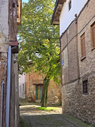 Plazuela del Tilo