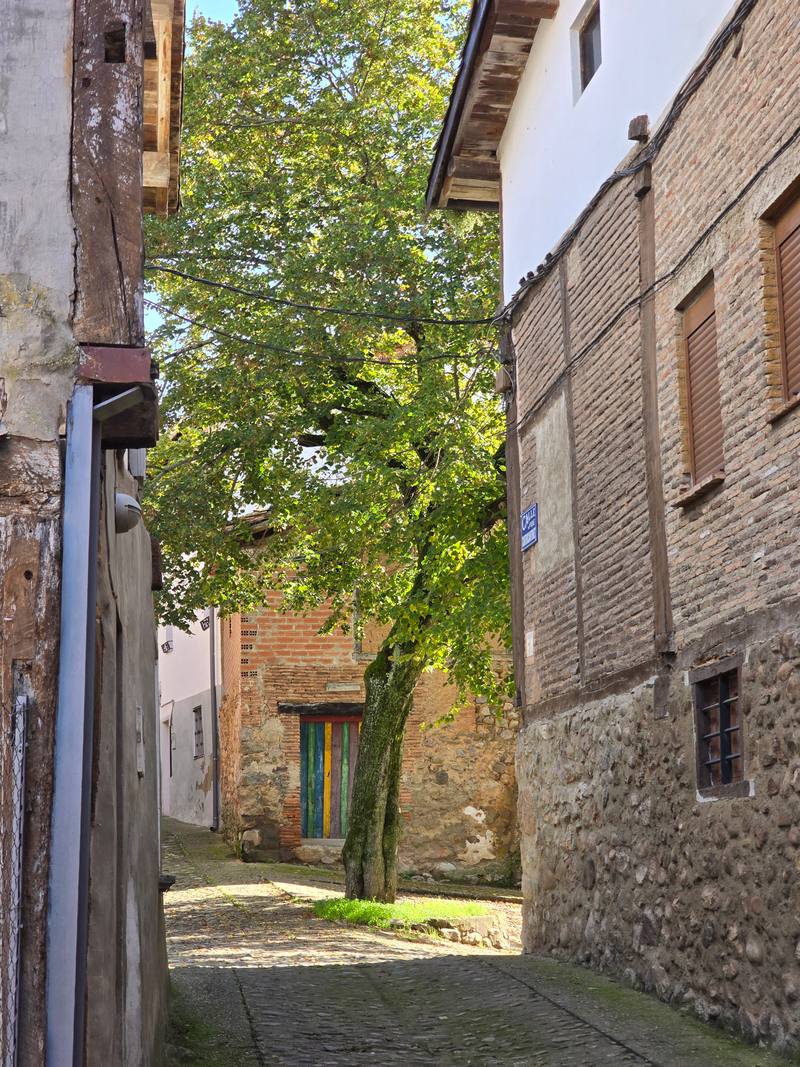 Plazuela del Tilo