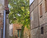 Plazuela del Tilo